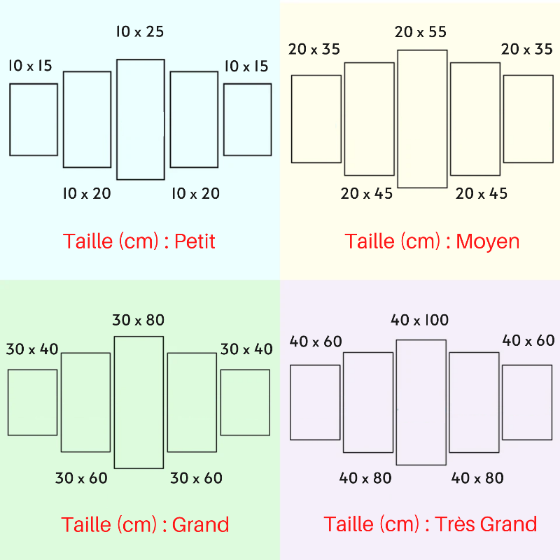 Tableau Dark Vador